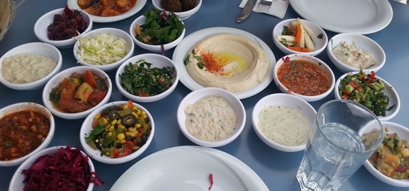 מאמרים